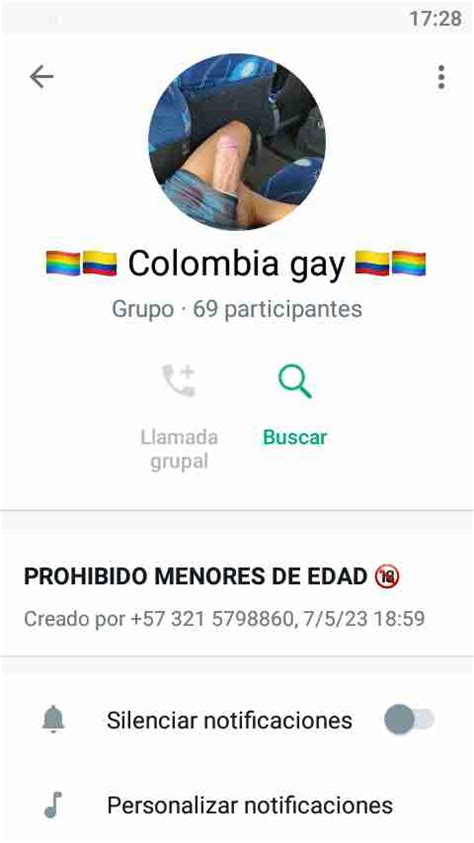 grupo de gay whatsapp|Grupos de GAYS en Whatsapp